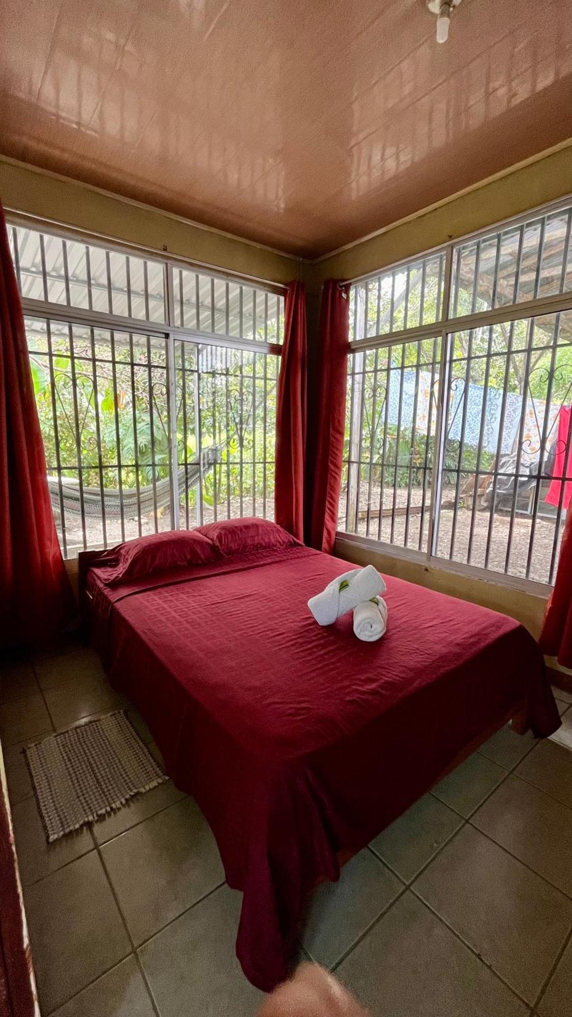 Blue House Guest House Puerto Jimenez Exterior photo
